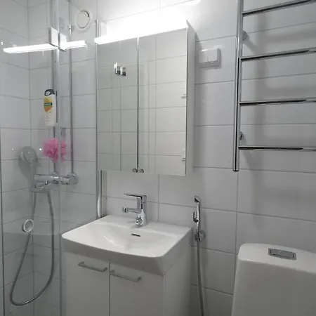 Apartament Cozy Near Cathedral Church Turku